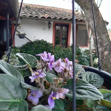 Hotel Boutique Casabella Coatepec  Εξωτερικό φωτογραφία
