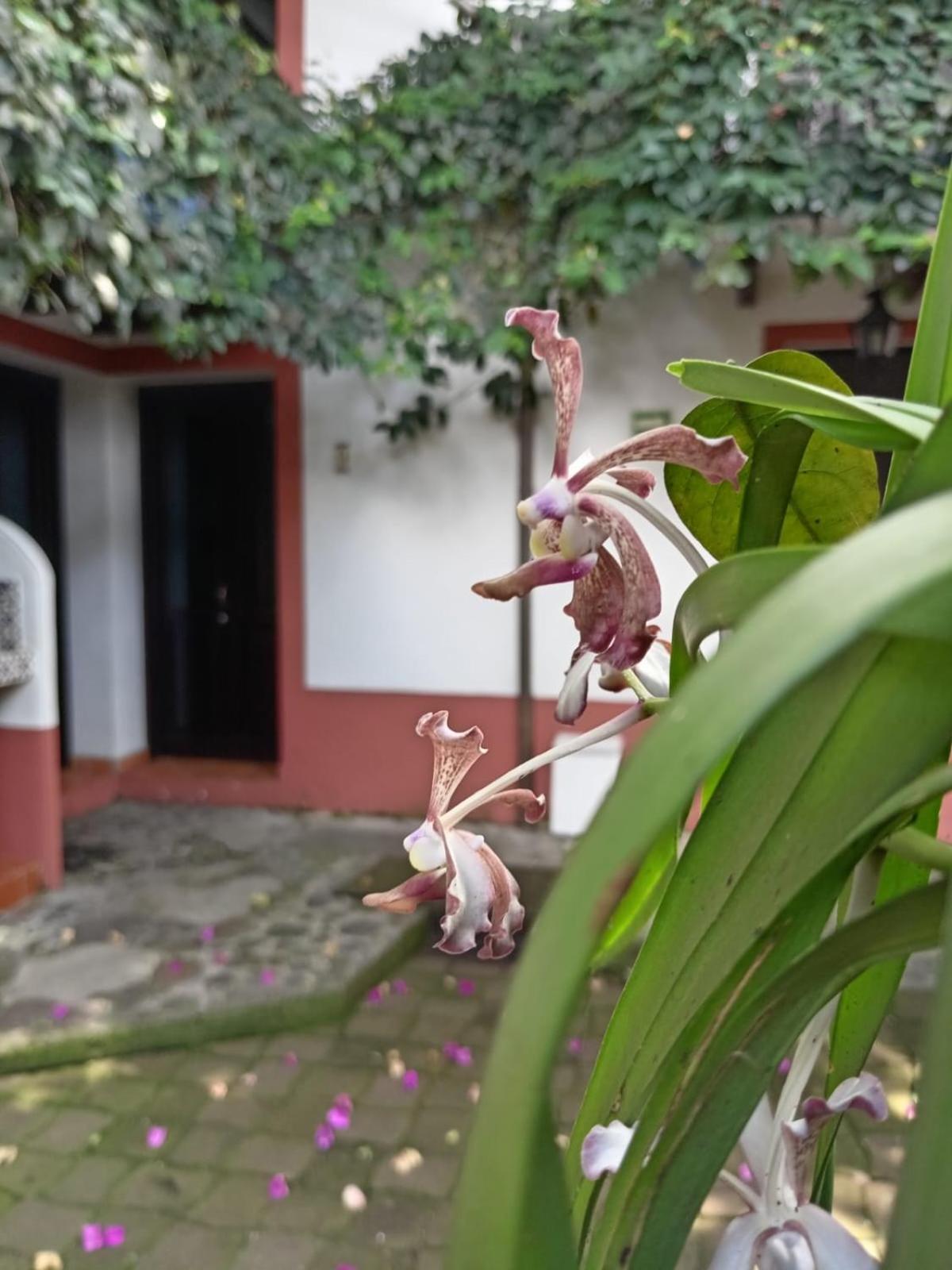 Hotel Boutique Casabella Coatepec  Εξωτερικό φωτογραφία