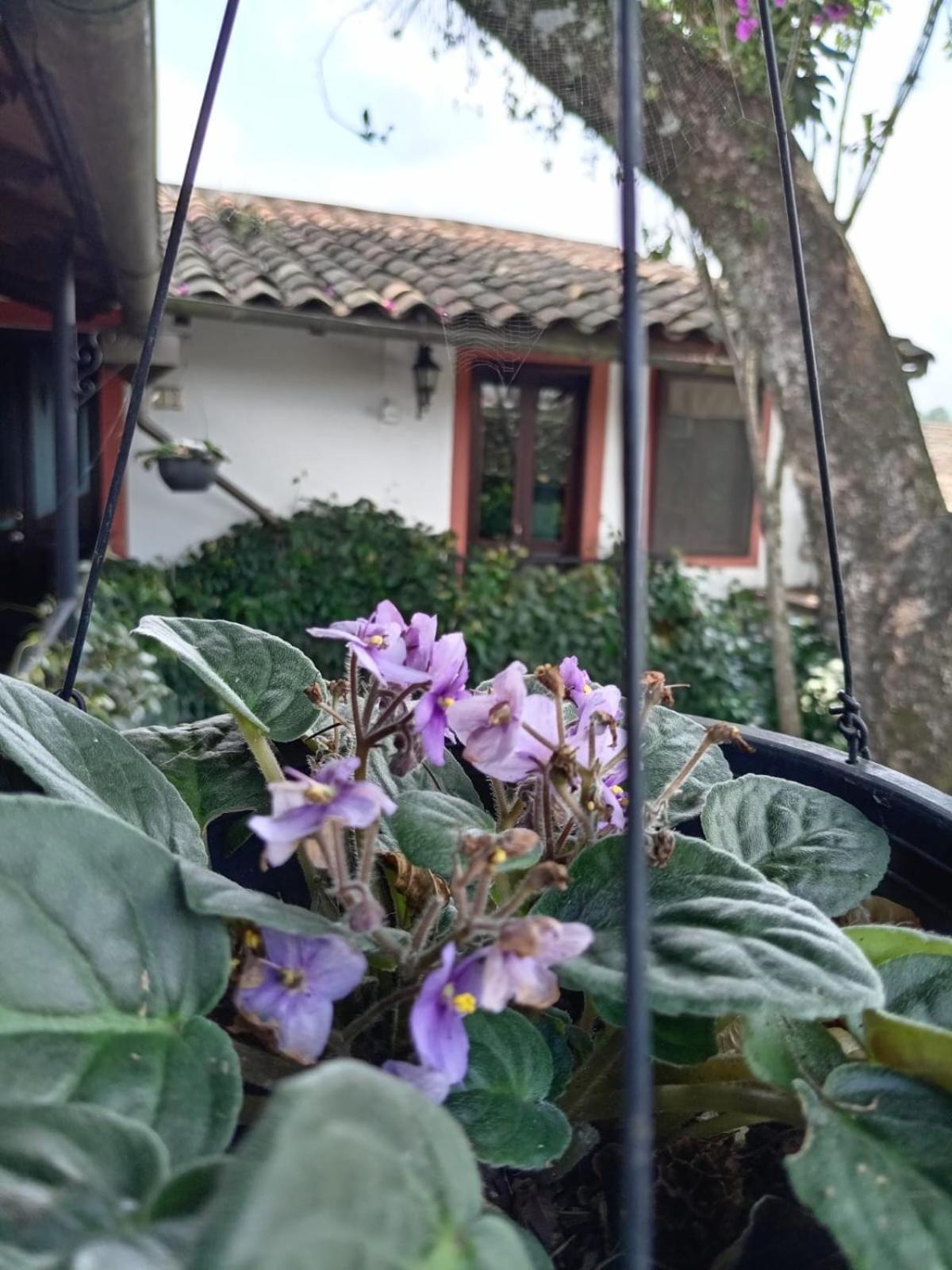 Hotel Boutique Casabella Coatepec  Εξωτερικό φωτογραφία